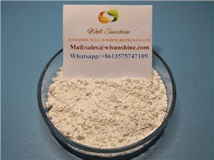 Oregano Oil Premix