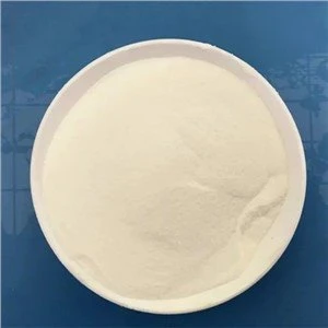 Laktobacillus Plantarum