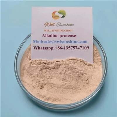 Alkalisk proteas