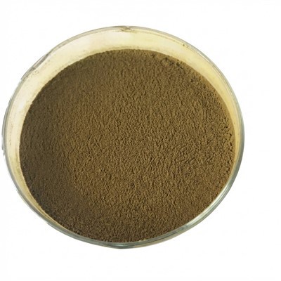 Aspergillus Oryzae: The Powerhouse For Bio-Fermentizer Fermentation